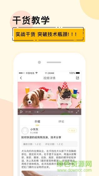 宠才大学
