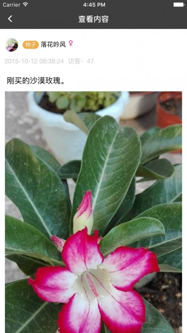 枫桥居花卉截图