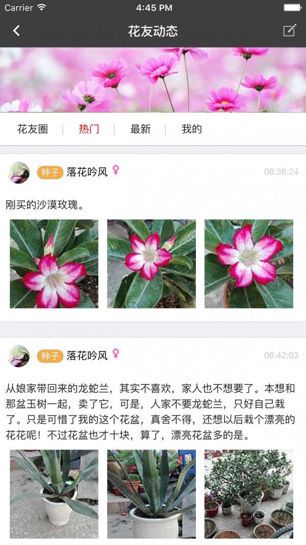 枫桥居花卉截图