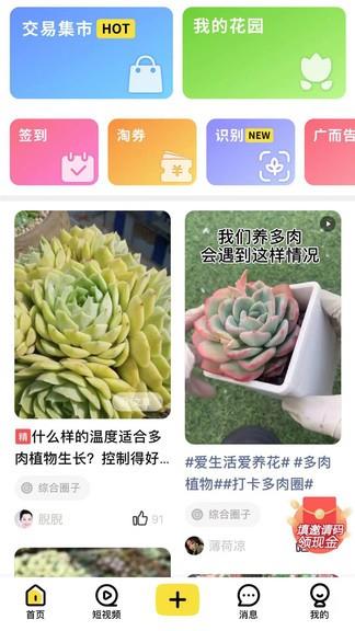 多肉圈截图