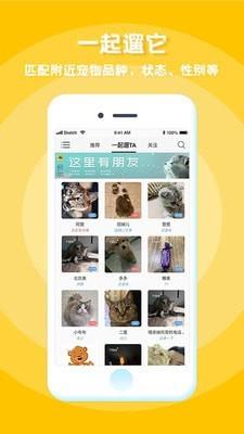 我爱它它