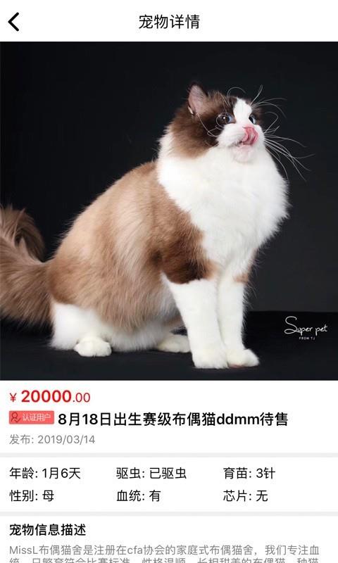 猫行狗市