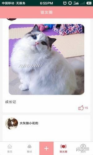 爱猫咪截图