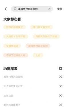 最佳女婿完整版