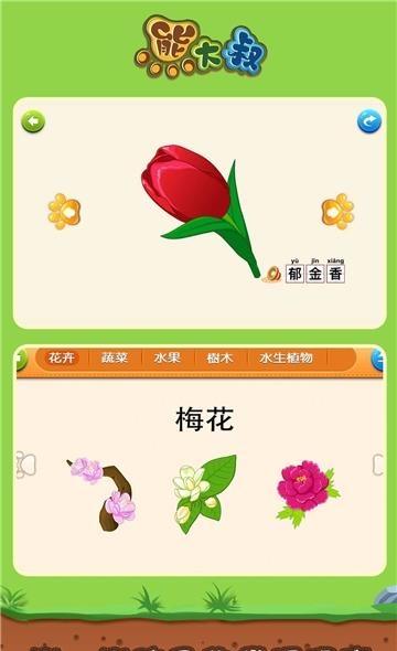 宝宝植物拼图截图