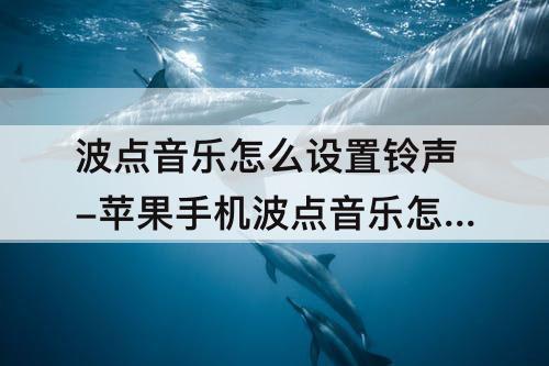 波点音乐怎么设置铃声-苹果手机波点音乐怎么设置铃声