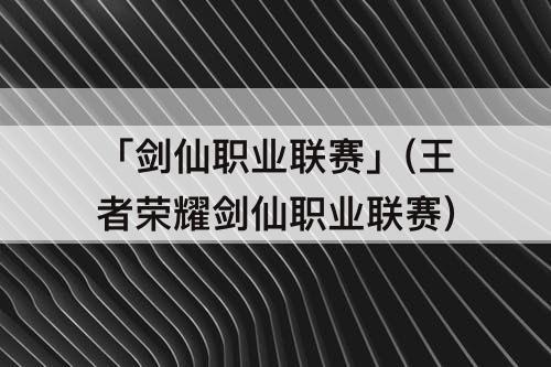 「剑仙职业联赛」(王者荣耀剑仙职业联赛)