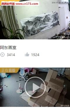 网易青果直播