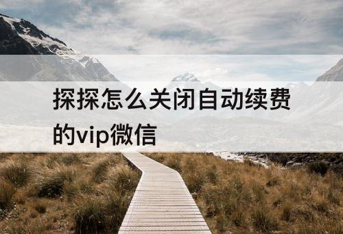 探探怎么关闭自动续费的vip微信