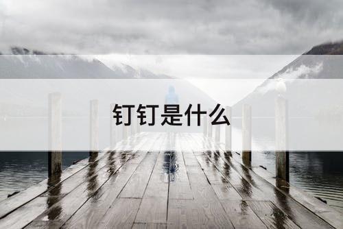 钉钉是什么