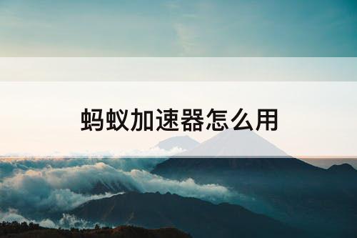 蚂蚁加速器怎么用