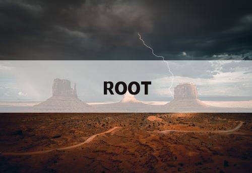 ROOT