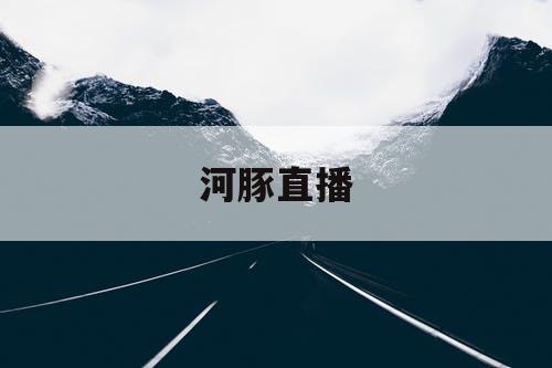 河豚直播