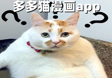 多多猫漫画