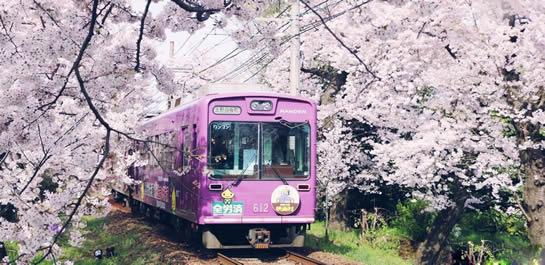 预定火车票