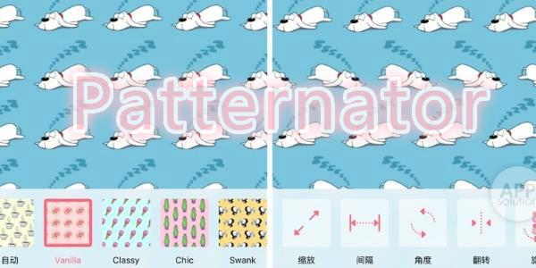 Patternato