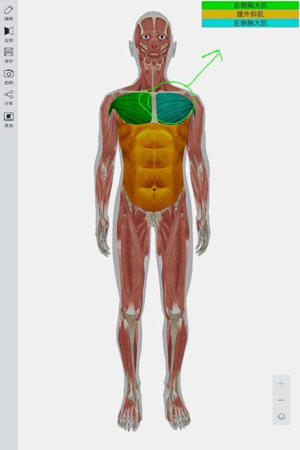 3d人体模型手机版截图