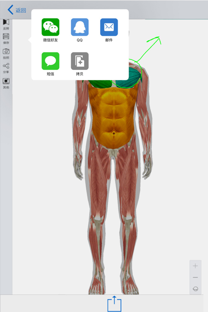 3d人体模型手机版截图