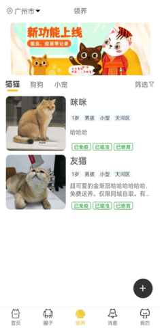 种猫家截图