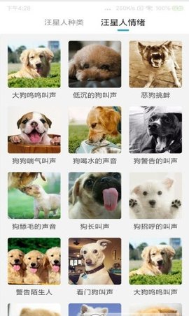 猫狗动物翻译器截图