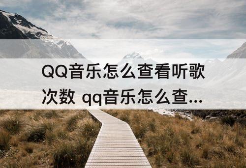 QQ音乐怎么查看听歌次数 qq音乐怎么查看听歌次数最多