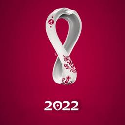 足球杯2022