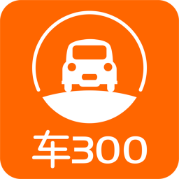 车300二手车