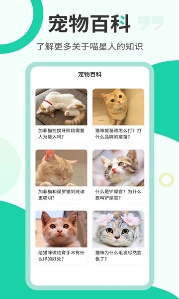 猫语翻译机