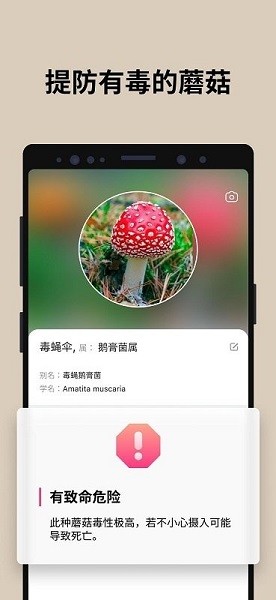 蘑菇识别扫一扫2023截图