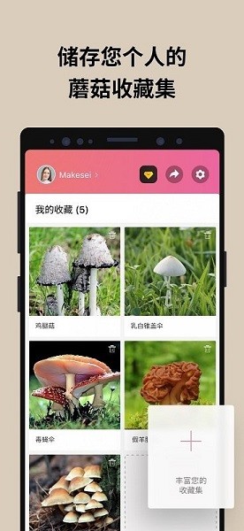 蘑菇识别扫一扫2023截图