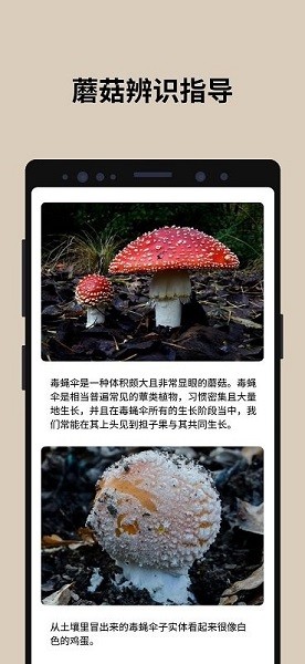 蘑菇识别扫一扫2023截图