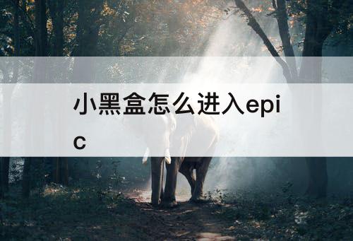小黑盒怎么进入epic