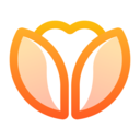 荷缘app