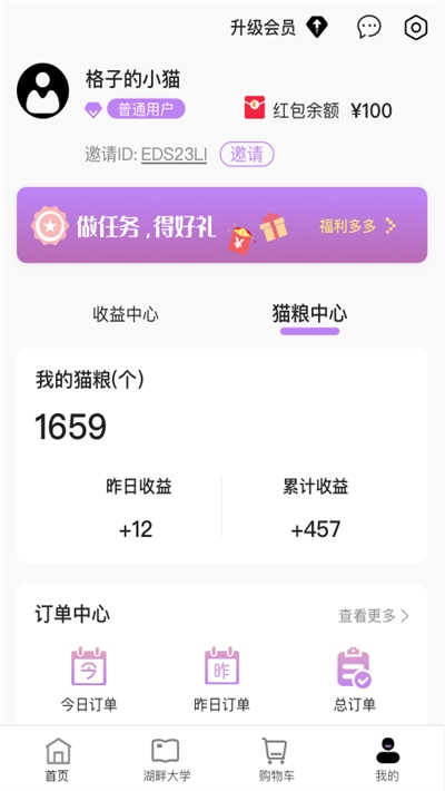 湖畔猫截图
