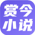 赏今小说2024