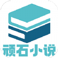 顽石小说安卓版