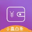 小赢白条最新版
