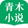 青木小说魔