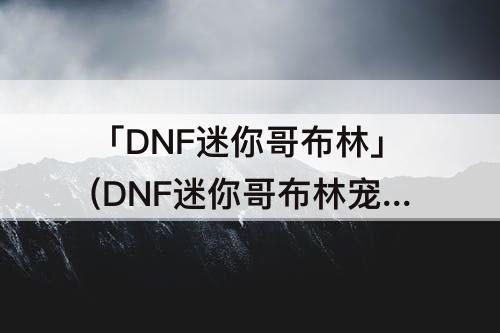 「DNF迷你哥布林」(DNF迷你哥布林宠物)