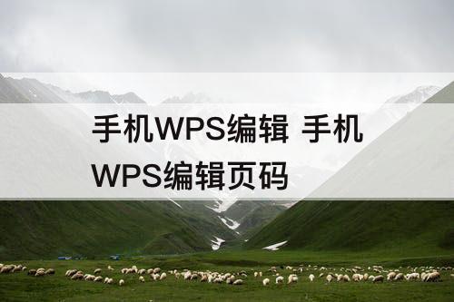 手机WPS编辑 手机WPS编辑页码