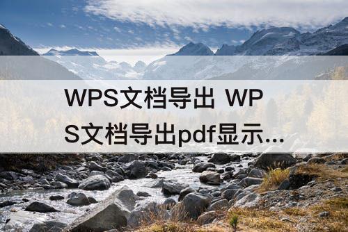 WPS文档导出 WPS文档导出pdf显示崩溃