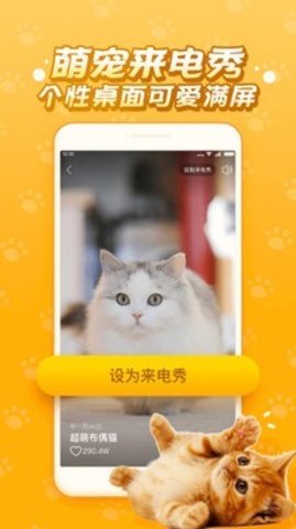 逗猫咪截图