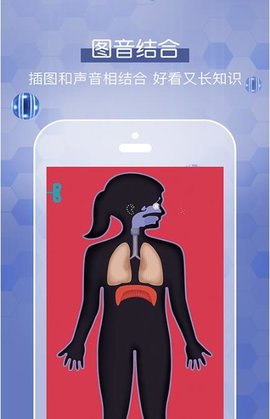 人体探秘截图