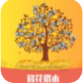 移花接木贷款app