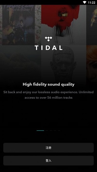 tidal手机版独占