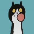 聆听云音乐安卓版下载