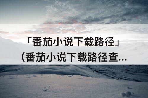 「番茄小说下载路径」(番茄小说下载路径查看)