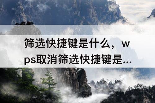 筛选快捷键是什么，wps取消筛选快捷键是什么原因