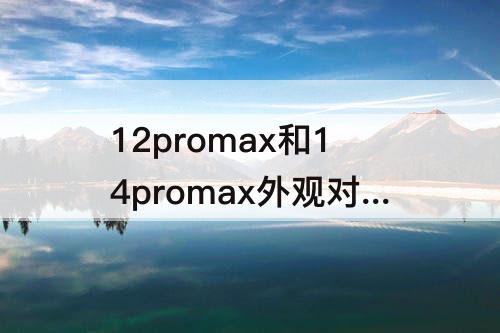 12promax和14promax外观对比