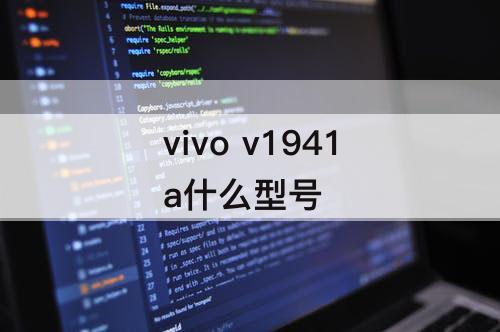 vivo v1941a什么型号